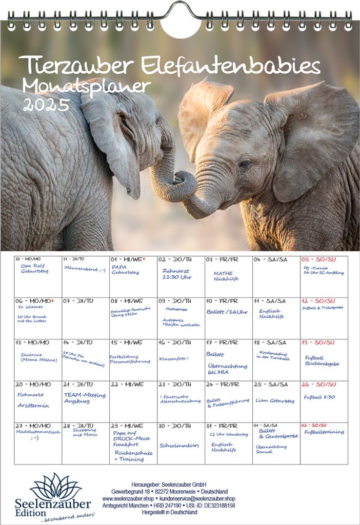 Tierzauber Elefantenbabies Planer DIN A4 Kalender für 2025 Elefanten - Seelenzauber