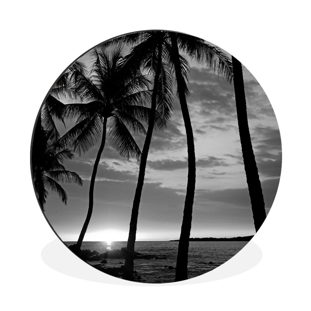 MuchoWow Aluminium Wandkreis Hawaii - Palme - Schwarz - Weiß Ø 30 cm Wanddeko Modern Wohnzimmer - Wand Bild - Wohnzimmer - Runde Bilder - Alubi...