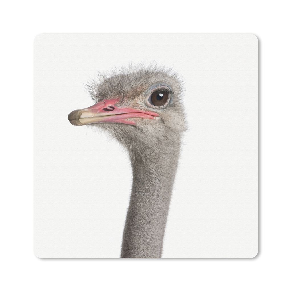 MuchoWow Mauspad Mousepad Tiere - Porträt - Strauß 30x30 cm - Mousepads - Maus Mat - Pad - Mausunterlage - Gaming
