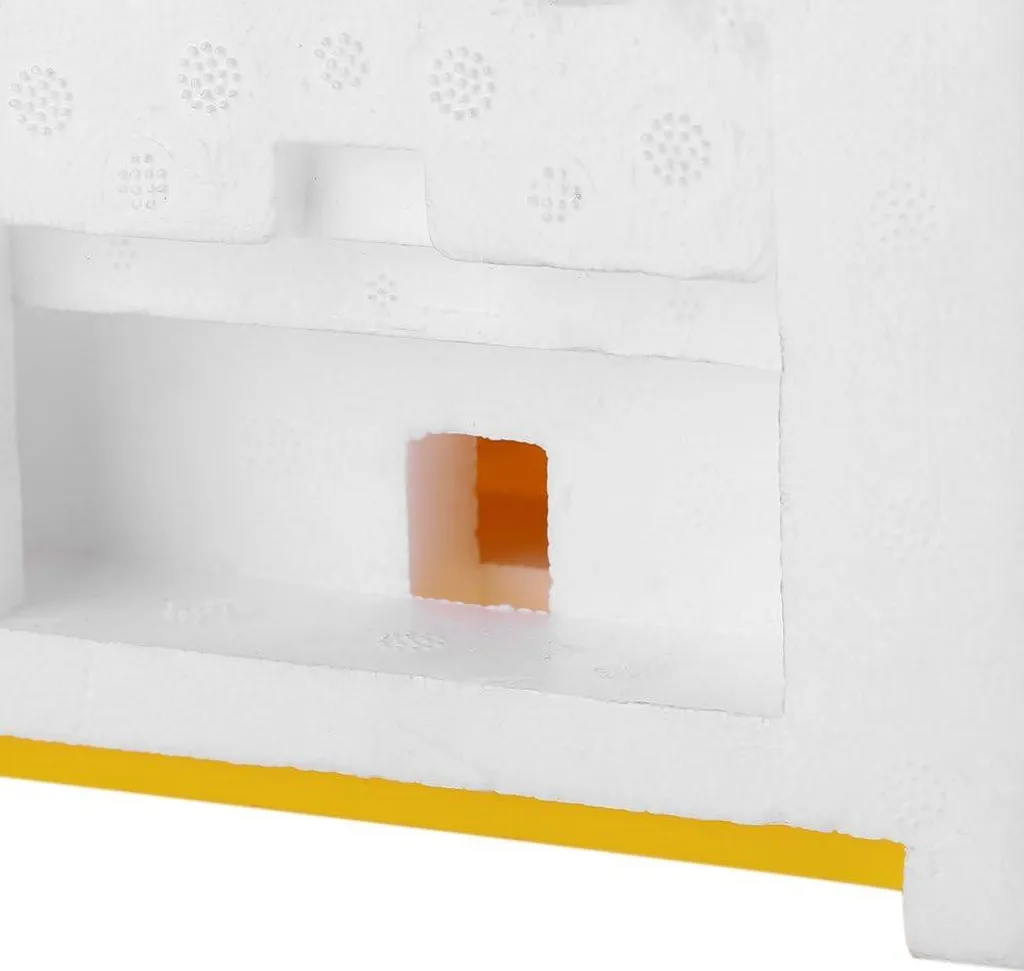 Matériel d'apiculture avec boîte royale - Kit de récolte pour abeilles