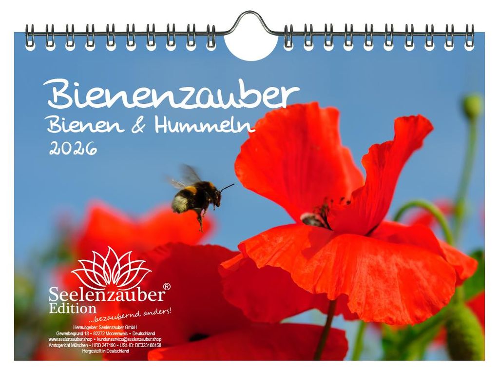 Bienenzauber Bienen und Hummeln DIN A5 Kalender für 2026 - Seelenzauber