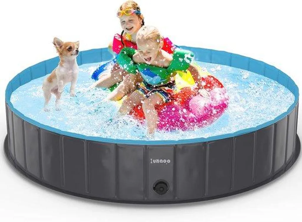 Piscine de jardin pour rafraîchir son chien lors des fortes chaleurs