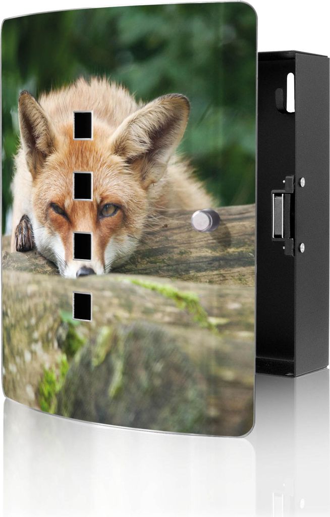 banjado Design Schlüsselkasten aus Edelstahl für 10 Schlüssel, Schlüsselschrank 24 x 21,5 x 7cm groß mit Magnetverschluss, Fuchs Relax [BWSK 1...