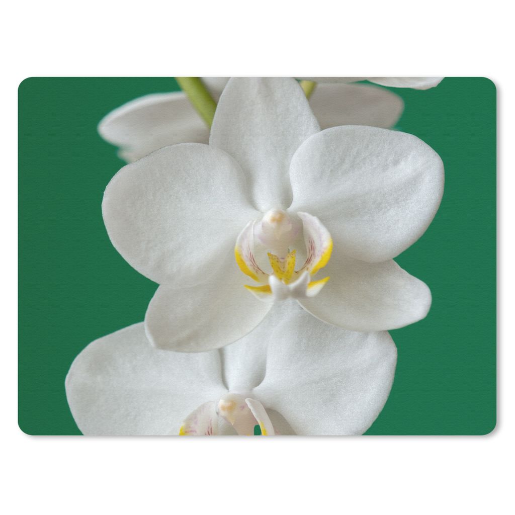 MuchoWow Mauspad Mousepad Orchidee mit grünem Hintergrund 40x30 cm - Mousepads - Maus Mat - Pad - Mausunterlage - Anti Rutsch