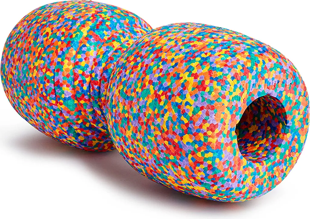 Soulager Mal de Dos avec BLACKROLL TWIN Rainbow Edition A002754