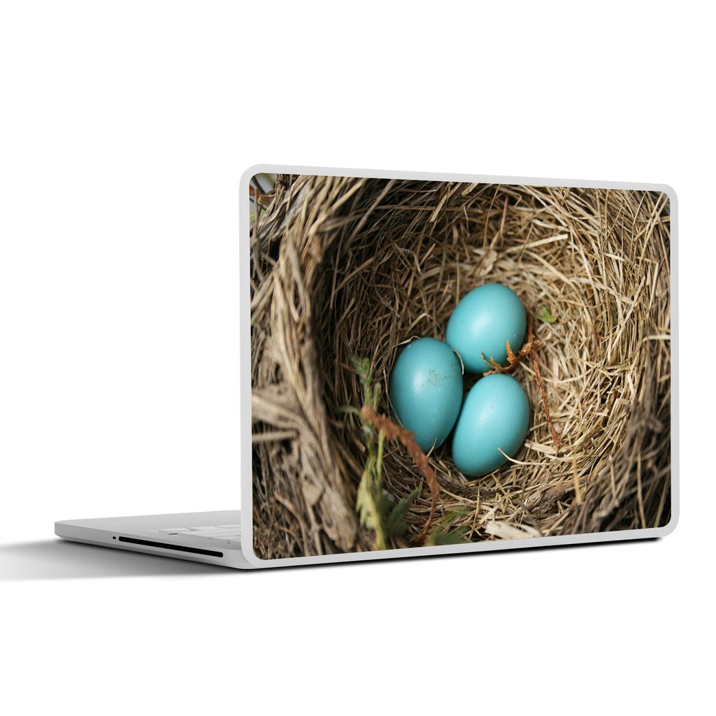 MuchoWow Laptop Aufkleber Sticker Cover Eier - Blau - Rotkehlchen 30x22 cm - Laptop-Sticker