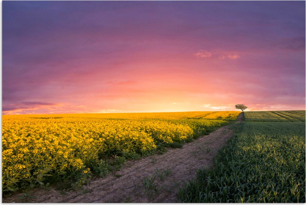 MuchoWow Poster Blumen - Straße - Himmel - Gelb - Lila - Sonnenuntergang - Natur 60x40 cm - Schlafzimmerdekoration