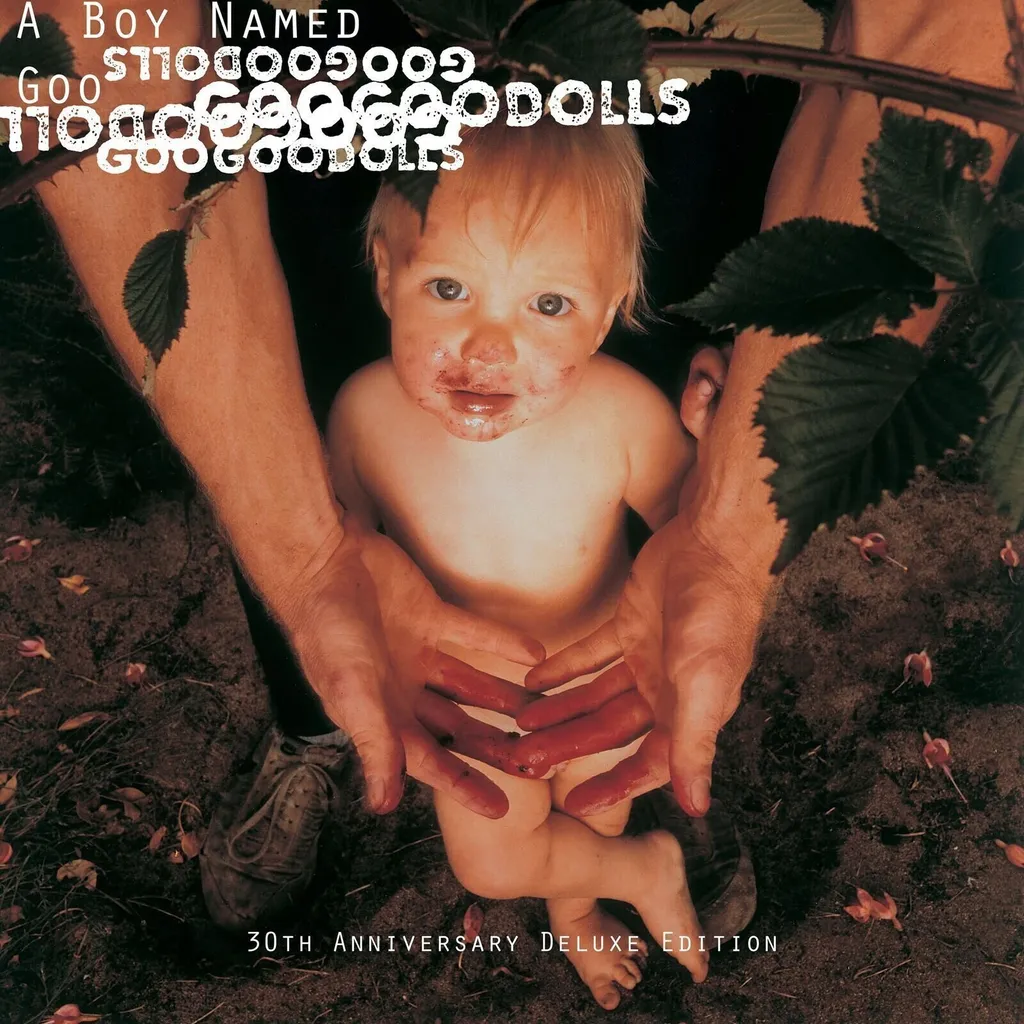 Double Vinyle The Goo Goo Dolls A Boy Named Goo Édition Limitée 30 Ans LP
