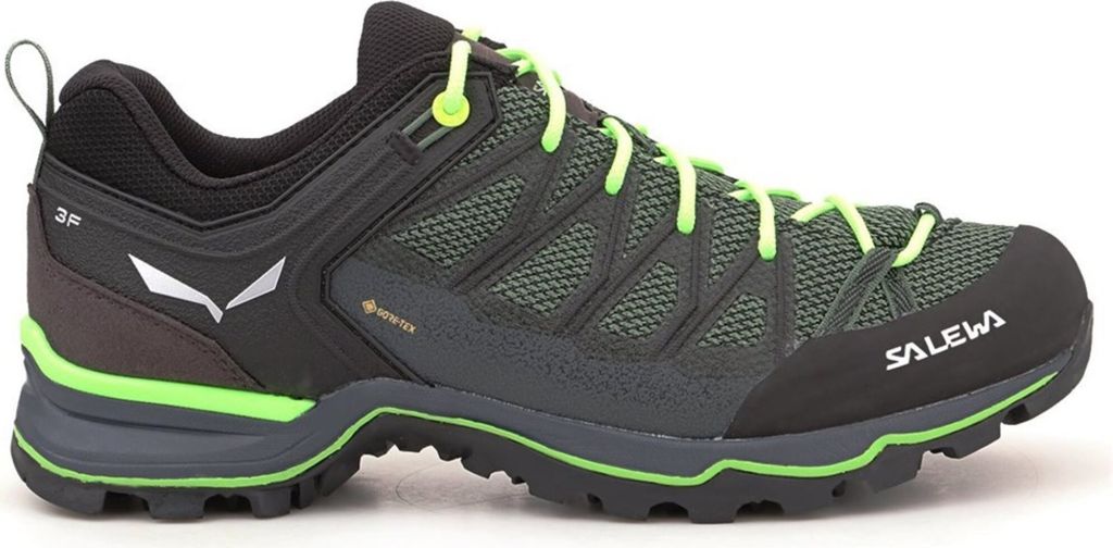 Salewa Herren Mountain Trainer Lite GTX Multifunktionsschuh Myrtle/Ombre Blue 41