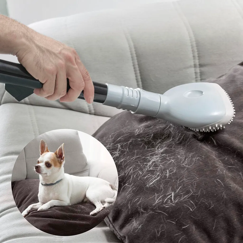 Spazzola Togli Peli Smoovah | Accessorio Universale Aspirapolvere