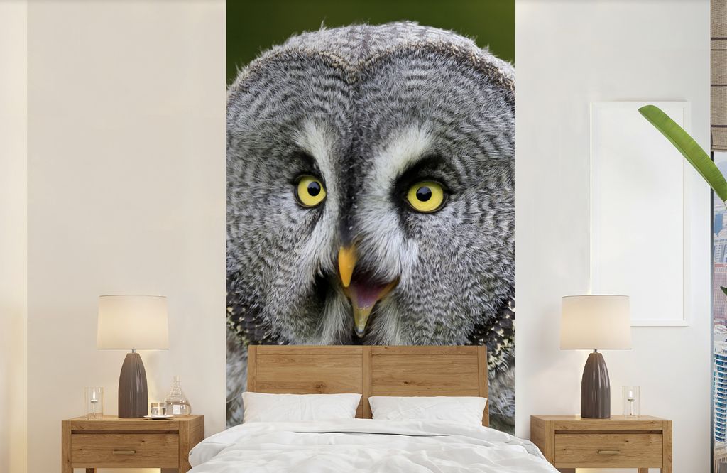 MuchoWow Fototapete für Wohnzimmer oder Schlafzimmer Wandtapete Vinyl Motivtapete Vogel - Eule - Grau - 120x240 cm - Hintergrundbild