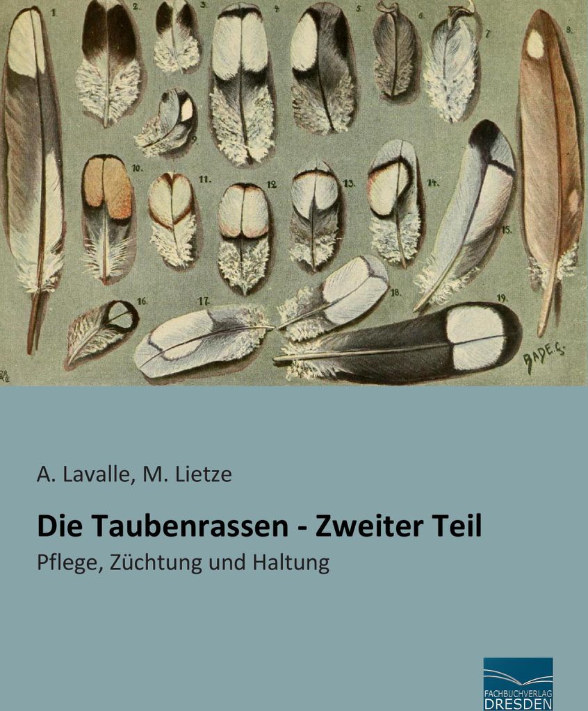 Die Taubenrassen - Zweiter Teil