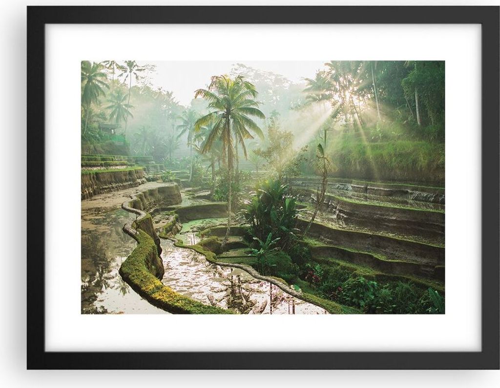 Gerahmtes Poster - Schwarzer Rahmen - Terrassen Reis Palmen - 40x30 cm - Wand Bild - Wanddeko - Wandbilder - Kunstposter - Wandposter - Bilderrahme...