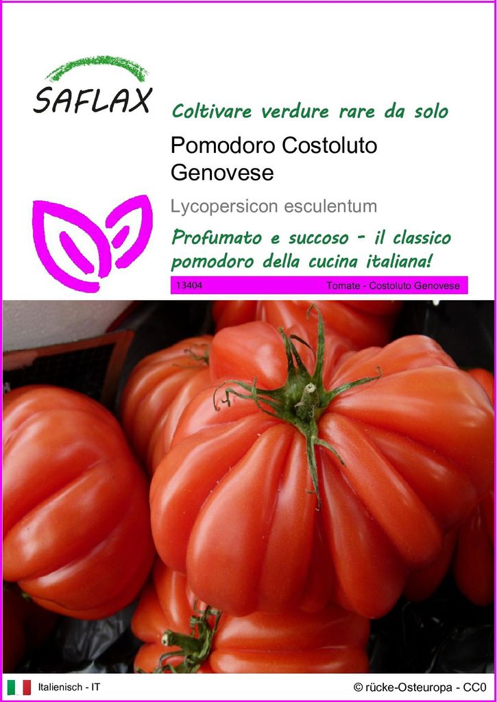 SAFLAX  - Pomodoro Costoluto Genovese - 10 semi - Immagine del prodotto 