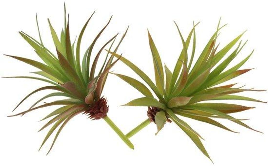 Zwei kunststoff-herbstgrüne Haus- und Tuiindekorationen Yucca-Palmen