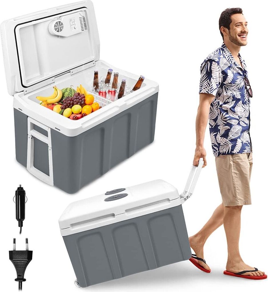TRMLBE 48 Liter Kühlbox Auto 12V 230V Kühlschrank Produktbild 1