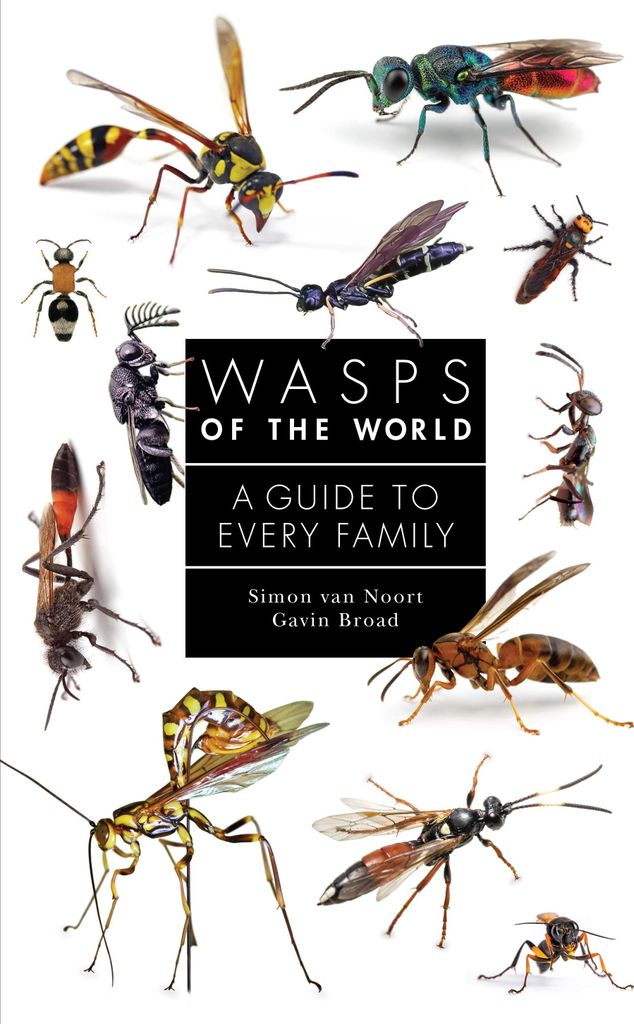 Wasps Of The World – Lingua: Inglese