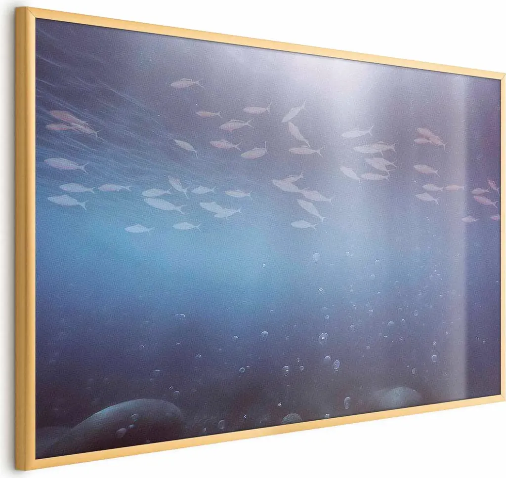 OFFERTA Poster Pesce Abissi 90x60 + Cornice ORO - Spedizione Veloce