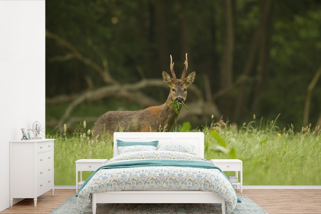 MuchoWow Fototapete für Wohnzimmer oder Schlafzimmer Wandtapete Vinyl Motivtapete Hirsche - Gras - Wald - 450x300 cm - Gemusterte