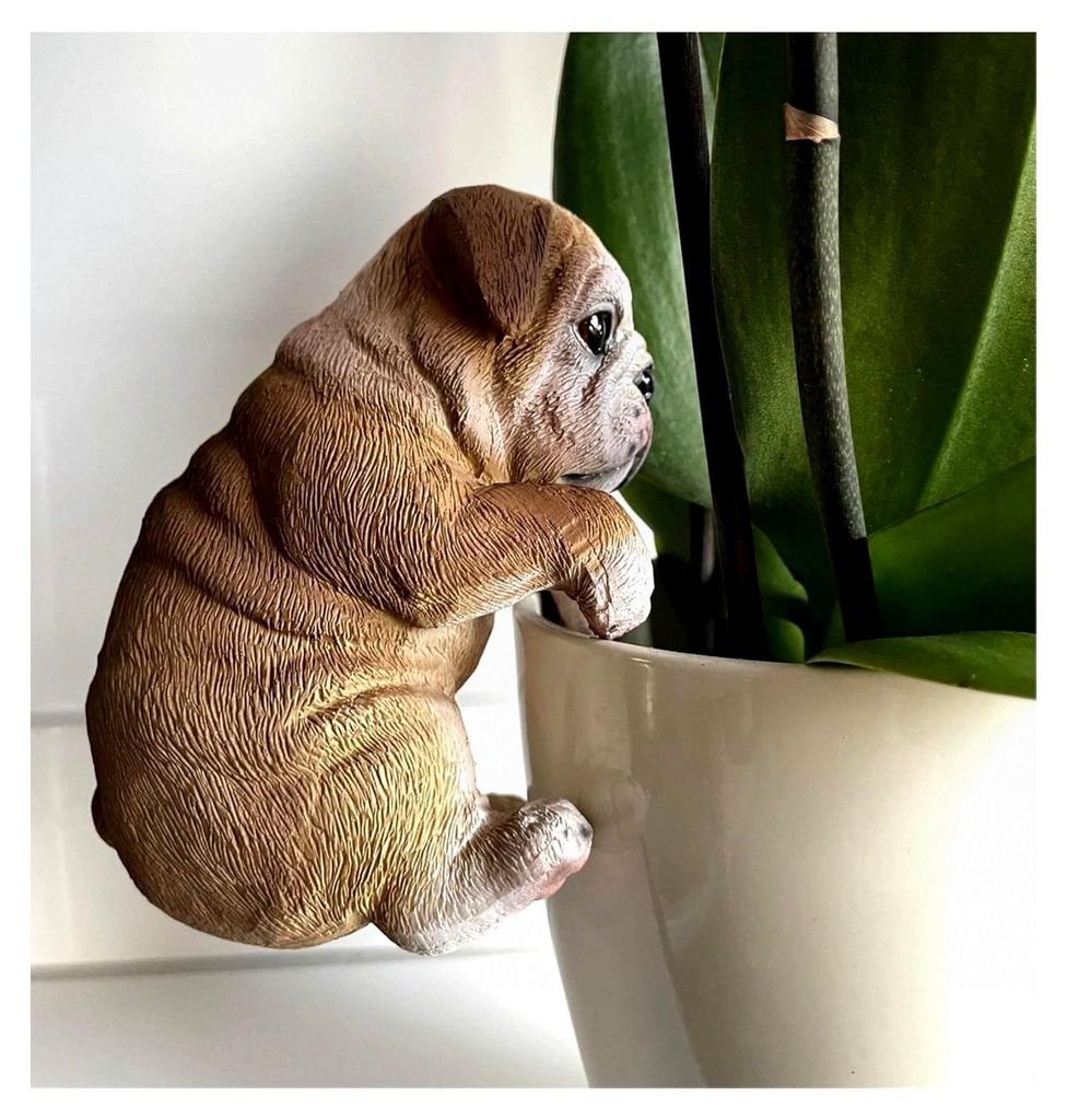 Dekofigur Bulldogge für Blumentöpfe hängend