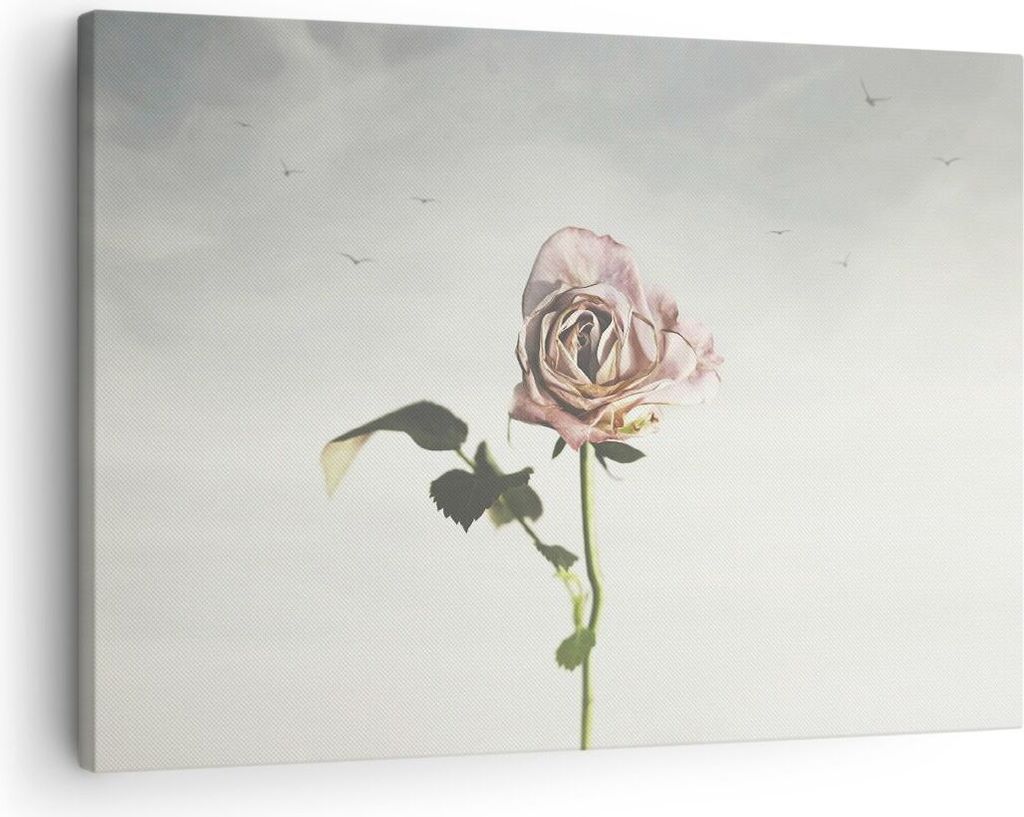 Bild auf Leinwand - Leinwandbild - Einteilig - Rose Vögel Himmel - 70x50cm - Wand Bild - Wanddeko - Wandbilder - Leinwanddruck - Bilder - Wanddeko...