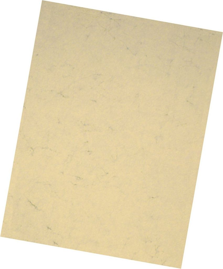 folia Elefantenhaut, DIN A4, 110 g/qm, chamois, 50 Blatt Immagine del prodotto 