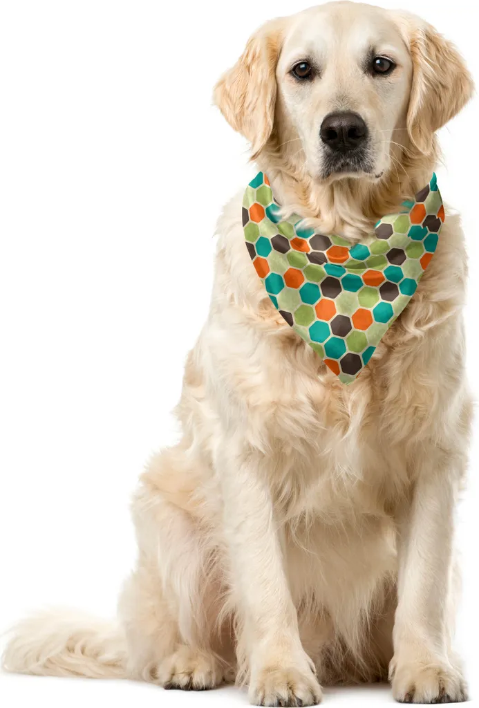 ABAKUHAUS Bandana retrò per animali domestici, esagoni colorati grunge, 55x55 cm, multicolore