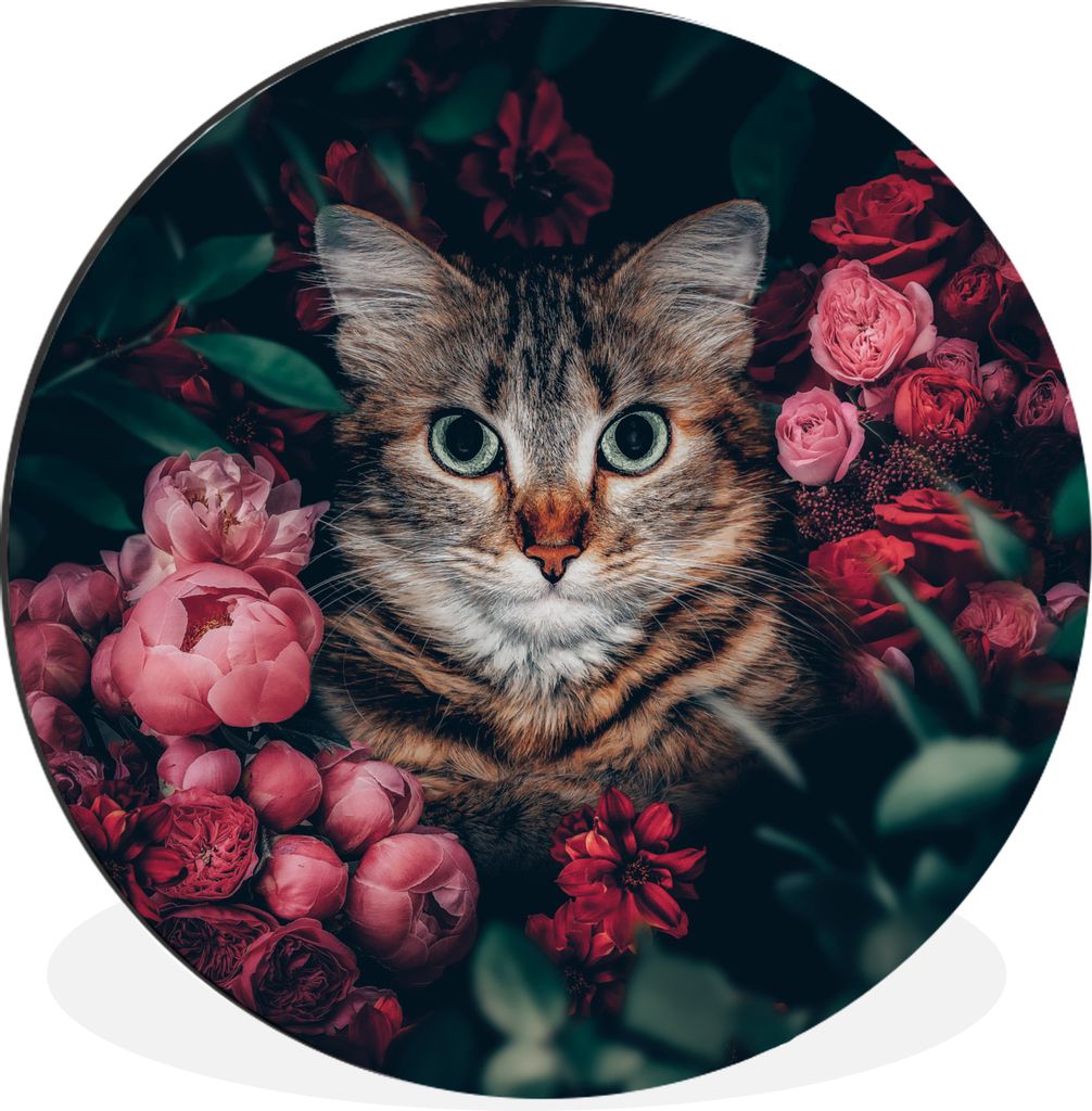 MuchoWow Aluminium Wandkreis Katze - Blumen - Blätter - Botanisch Ø 90 cm Wanddeko Modern Wohnzimmer - Mauerkreis - Wandbilder - Runde Bild - B...