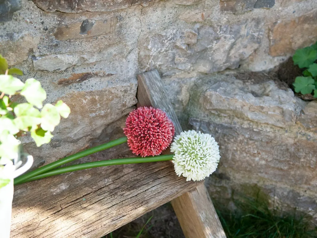 Allium Artificiale Rosso Europalms 55cm | Arredo Interni Alta Qualità - 4