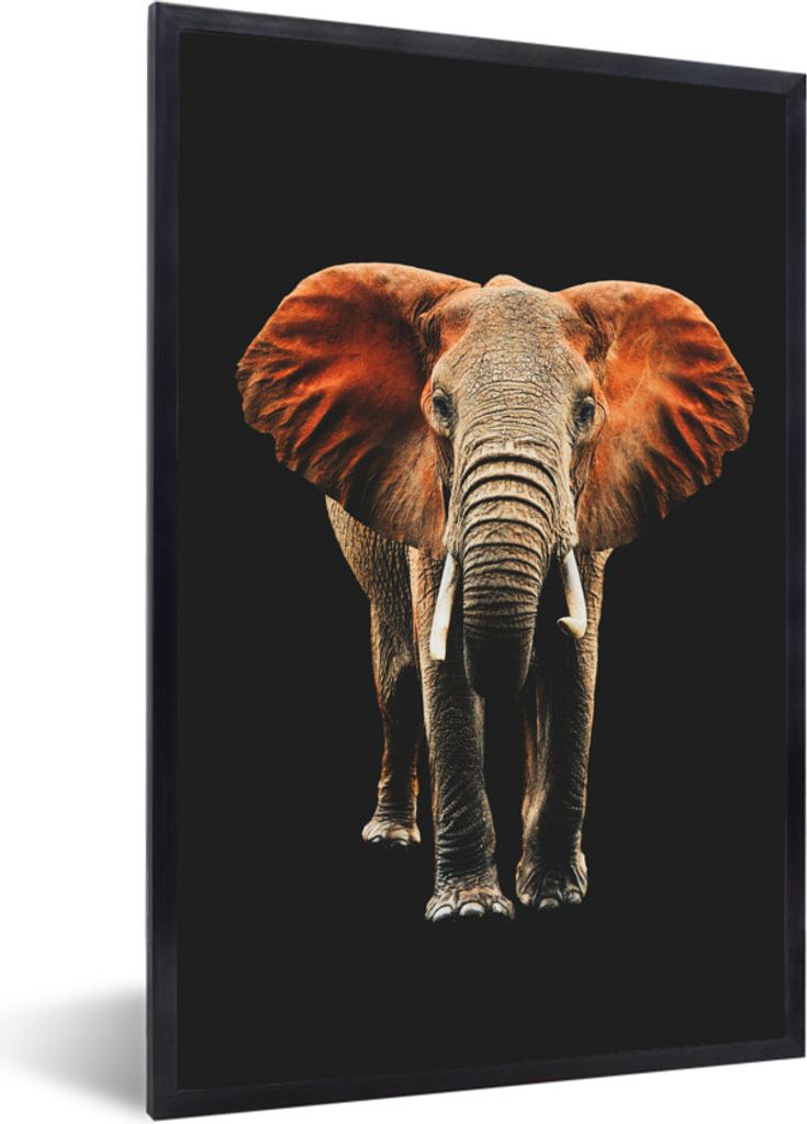 MuchoWow MuchoWow Gerahmtes Poster Elefant - Schwarz - Orange 60x90 cm - Poster mit zchwarzem Bilderrahmen - Kunst