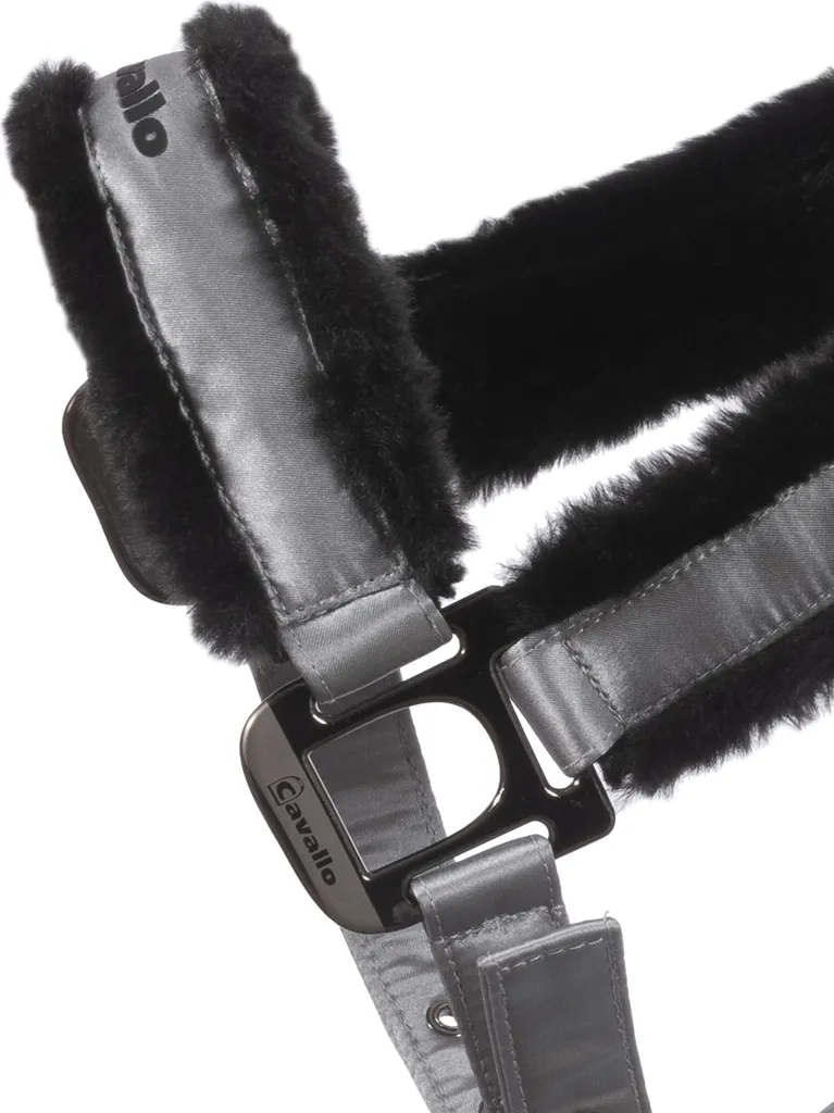 Licol de présentation Cavallo JERO silvergrey pour cheval taille VB - 2