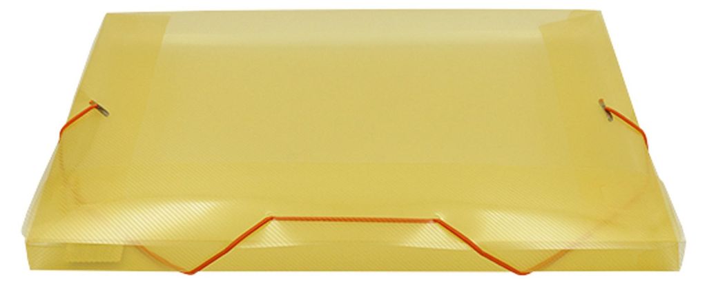 Set mit 100 Tares-Dokumentenhaltern (orange) Mehrfarbig