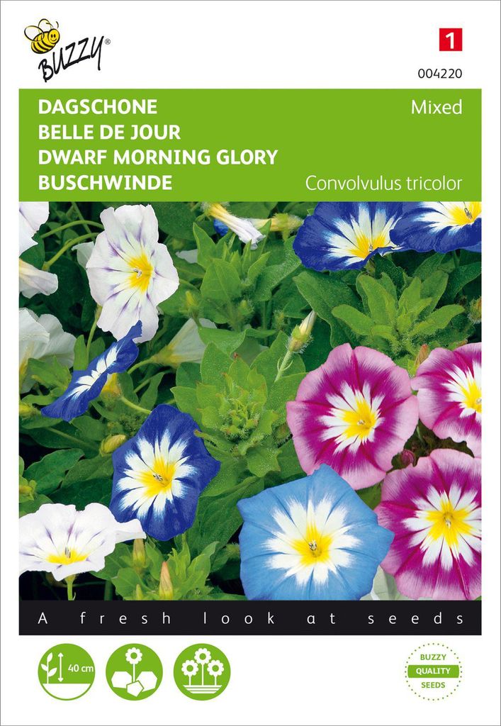 Mélange Buschwinde | Graines de Buschwinde de Buzzy Seeds Image du produit 