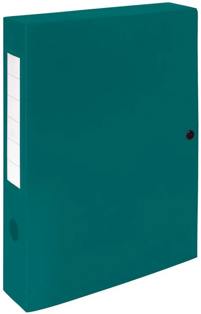 Boîte de classement A4 60mm en PP vert - Lot de 10 boîtes d'archivage