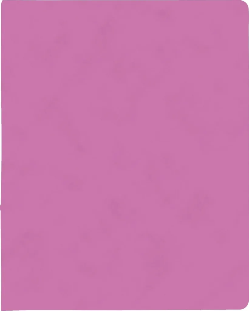 Marre du désordre ? 10x Classeur Brunnen 15mm Pink - A4 2 Anneaux