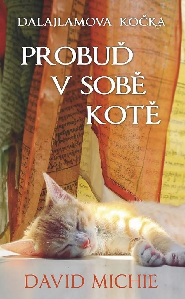 Le Chat du Dalaï-Lama Tome 2 Éveillez le chaton qui dort en vous Livre