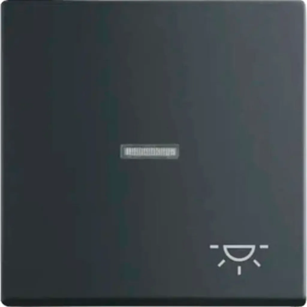 Bascule Busch-Jaeger 1789 LI-885 noir mat 2CKA001751A3045 - 2