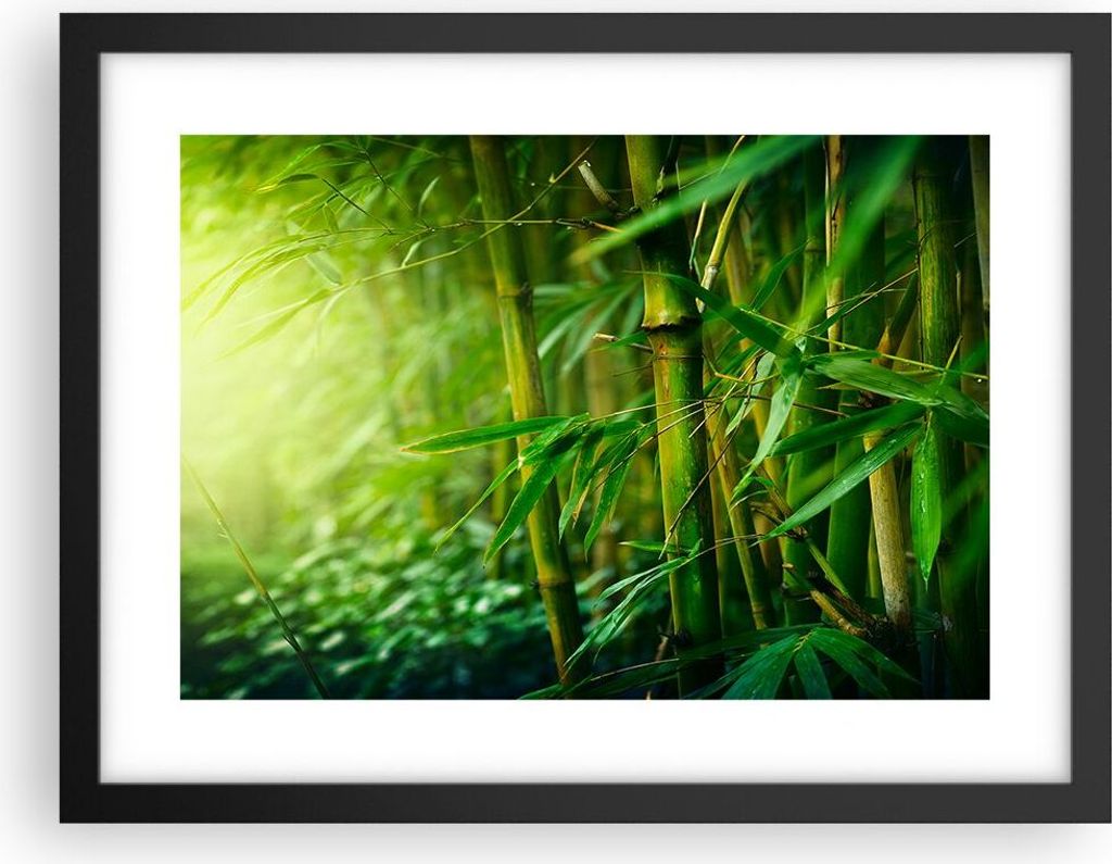Gerahmtes Poster - Schwarzer Rahmen - Bambus Pflanze - 40x30 cm - Wand Bild - Wanddeko - Wandbilder - Kunstposter - Wandposter - Bilderrahmen - Bil...