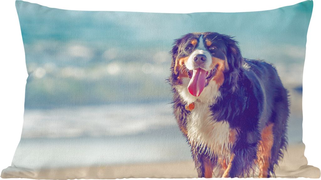MuchoWow Zierkissen Sofakissen Wohnzimmer Dekokissen 50x30 cm Ein Berner Sennenhund beim Spaziergang am Strand - Wohnzimmerdekoration - Polster m...