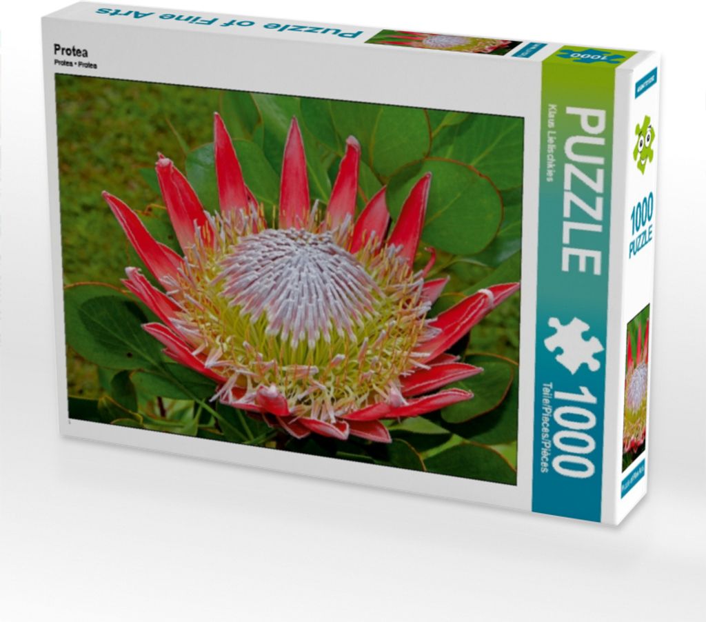 CALVENDO Puzzle Protea 1000 Teile Puzzle quer | 1000 Teile Lege-Größe 64x48cm Foto-Puzzle für glückliche Stunden