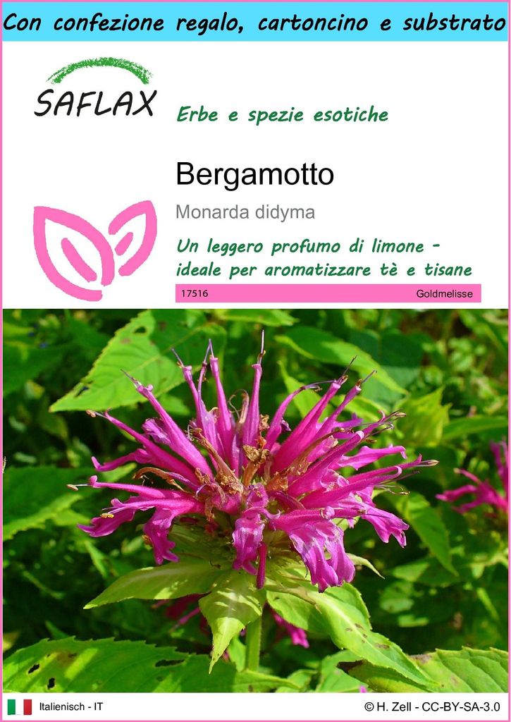 SAFLAX Set regalo - Bergamotto - 20 semi - Monarda Immagine del prodotto 