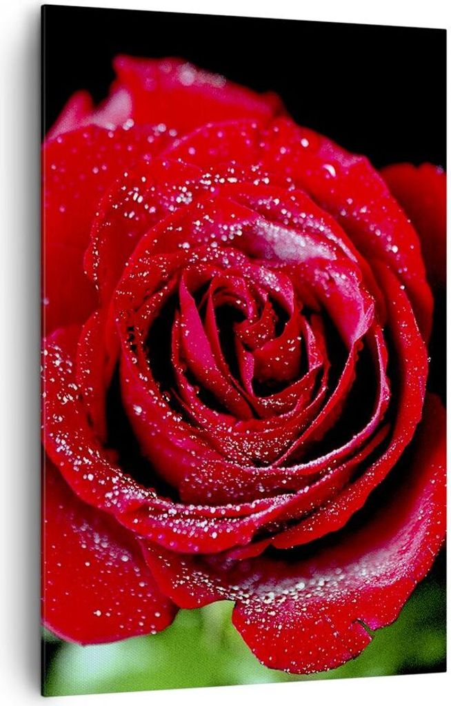 Bild auf Leinwand - Leinwandbild - Einteilig - Rose Blume Blütenblätter Wasser - 80x120cm - Wand Bild - Wandbilder - Leinwanddruck - Wanddekorati...