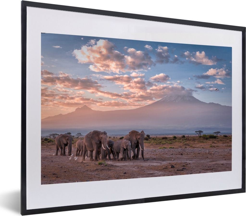 MuchoWow MuchoWow Gerahmtes Poster Elefant - Tiere - Abend - Landschaft - Savanne 60x40 cm - Poster mit zchwarzem Bilderrahmen - Schlafzimmer -...