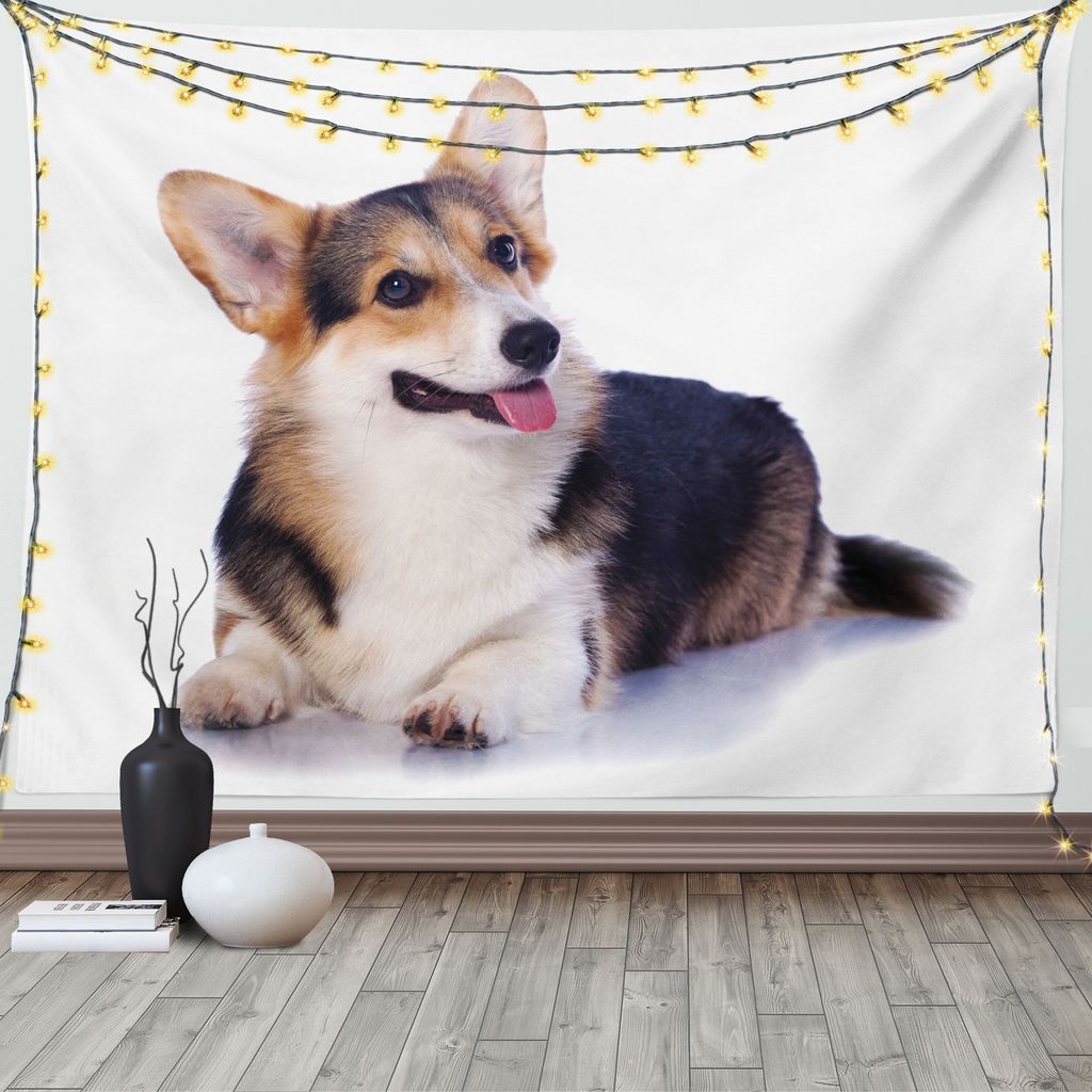 ABAKUHAUS Corgi Wandteppich, Pembroke Welsh Hundeliebhaber-Kunst, Wohnzimmer Schlafzimmer Heim Seidiges Satin Wandteppich, 200 x 150 cm, Pale Eggsh...