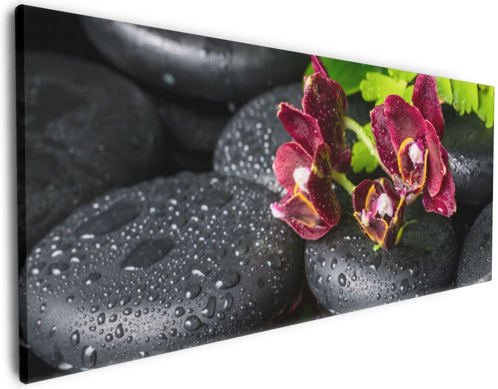 Wallario Premium Leinwandbild Dunkelrote Orchideen-Blüte Produktbild 