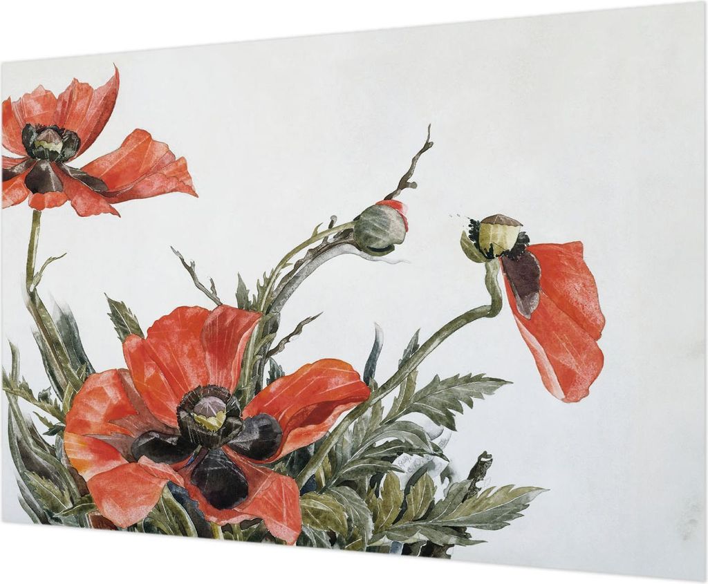 Wandtapete - Dekorative Tapete für Wohnzimmer - Tapetenfolie für Wanddekoration - 208x146 cm - Rote Mohnblumen