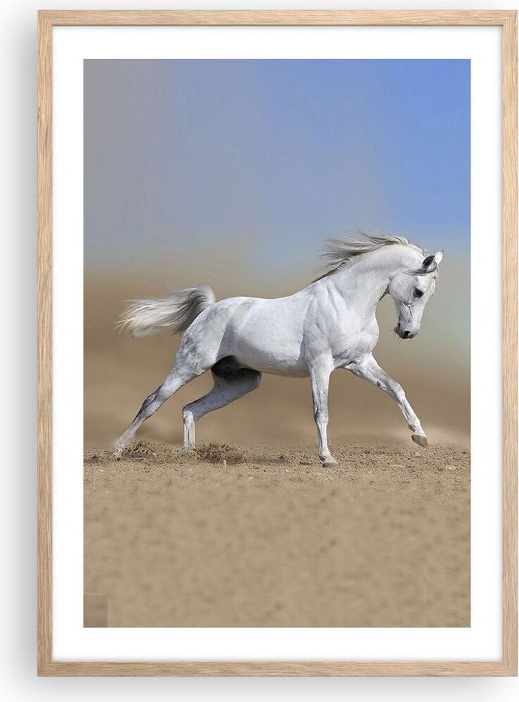 Gerahmtes Poster - Rahmen in heller Eiche - Pferd weiß Tier - 50x70 cm - Wand Bild - Wanddeko - Wandbilder - Kunstposter - Wandposter - Bilderrahm...