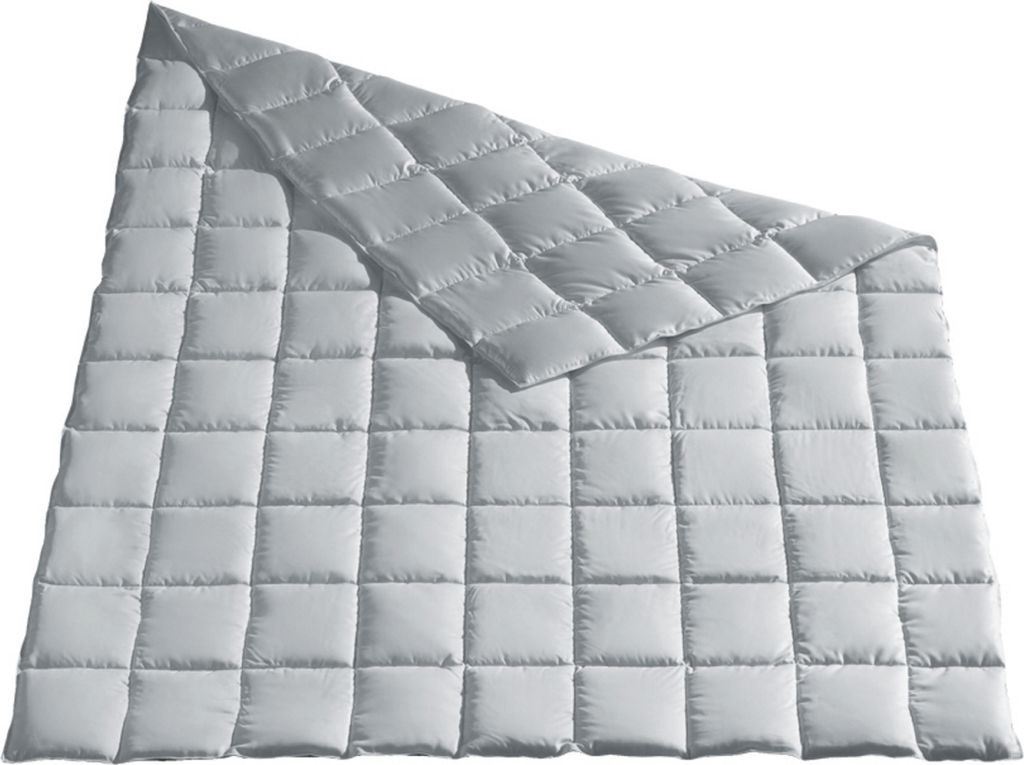 Häussling Daunen-Einziehdecke Moschus royal leicht Größe 135x200 cm Sommerdecke silbergrau