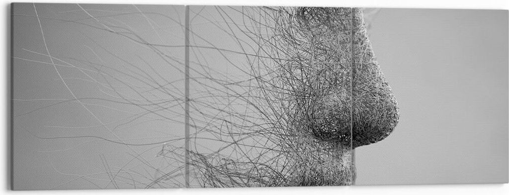 Bild auf Leinwand - Leinwandbild - 3 Teile - Gesicht Grafiken Fäden - 150x50cm - Wand Bild - Wanddeko - Wandbilder - Leinwanddruck - Bilder - Wand...