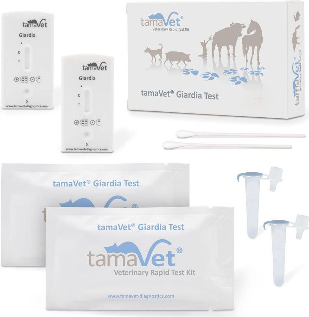 tamaVet Giardien Schnelltest | für Hund & Katze